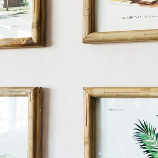 Set of 4 Palm Tree Prints
