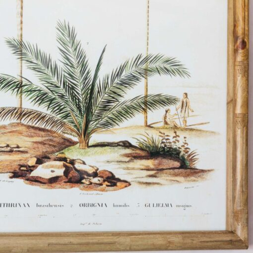 Set of 4 Palm Tree Prints